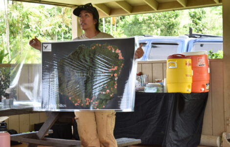 Kaua'i Community Beetle-Mapping Project May Be A Model For Hawai'i